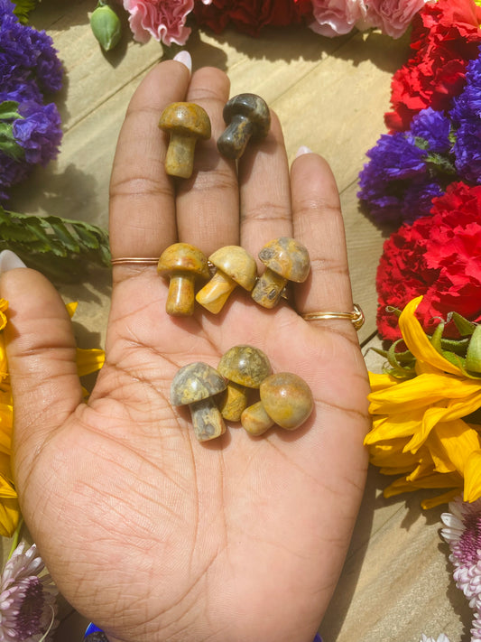 Crazy Lace Agate Mushroom