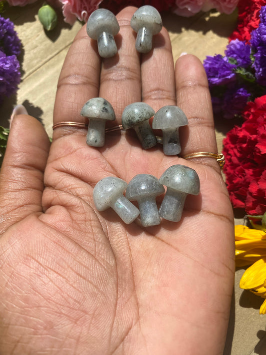 Labradorite Mushroom