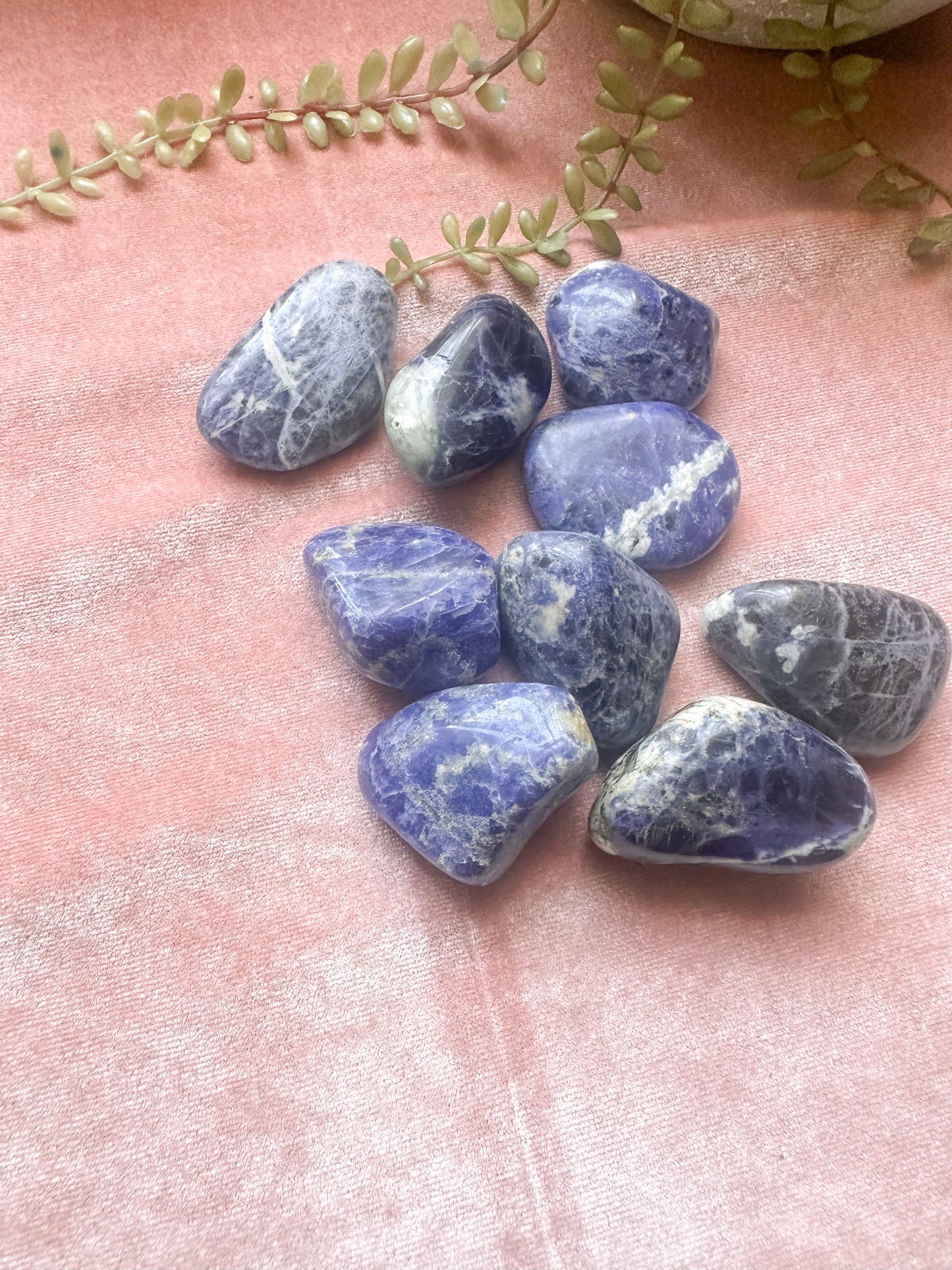 Sodalite Tumbled